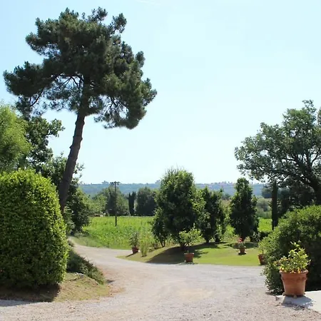 Apartment Quercus Robur Lucignano
